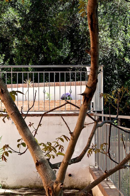 I Tre Pini Διαμέρισμα Pollica Εξωτερικό φωτογραφία